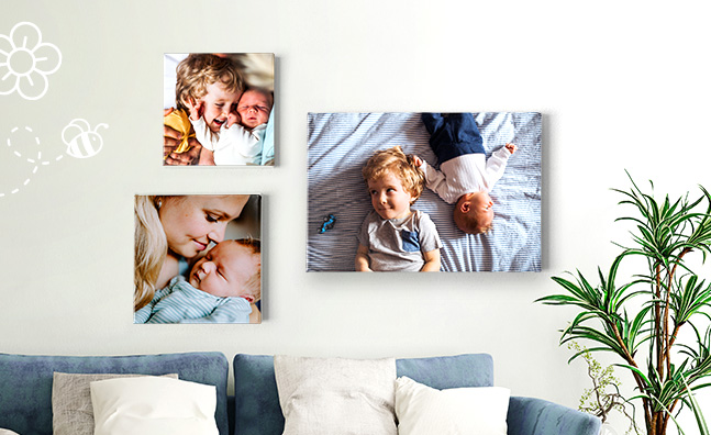 photocanvases