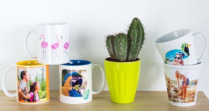 Fototazas a color y tazas latte sobre una estantería, un cactus en una maceta verde en el centro.
