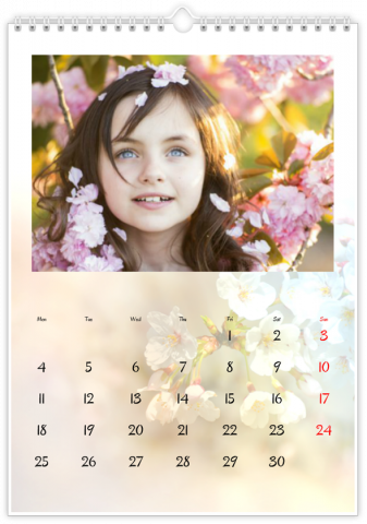 Photo Calendar A4 Portrait METŲ LAIKAI