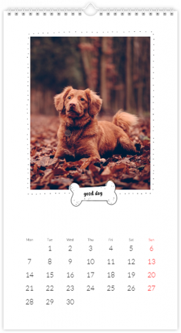 Fotokalender XL Kalender met een hond
