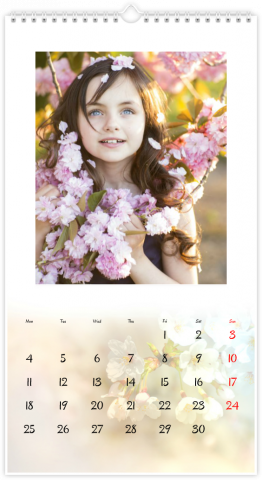 Photo Calendar XL METŲ LAIKAI