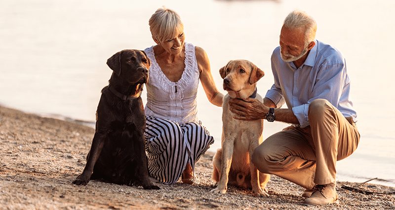 Una famiglia in posa per una foto che verrà utilizzata in seguito in un album con foto di cani