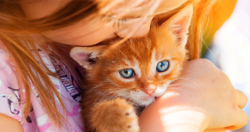 Una donna che posa con il suo gatto per una foto da inserire in un album foto gatti